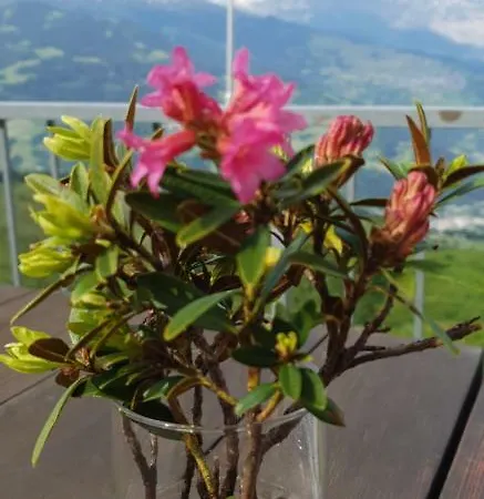 Bündner Rigi Inn