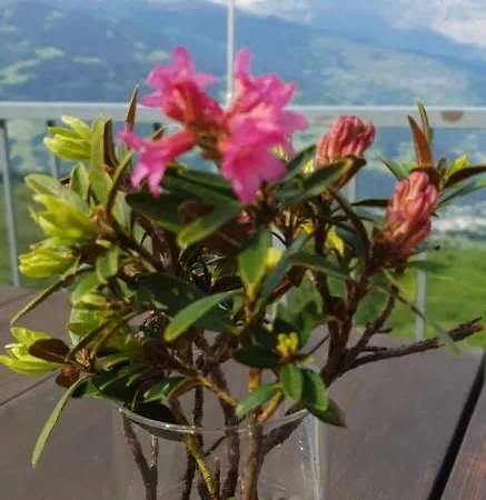 Bundner Rigi Inn